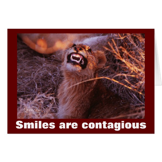 Smiling Lion Cub Smiles are Contagious (Front Horizontal)