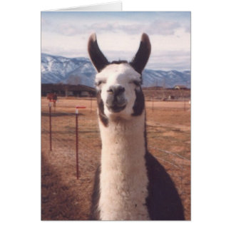 "Smiling Llama"
