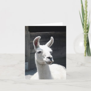 Smiling Llama Blank Note Card