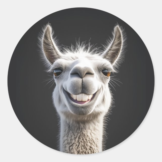 Smiling Llama Close-Up Classic Round Sticker (Front)