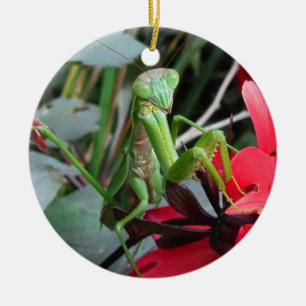 Smiling Mantis ~ ornament