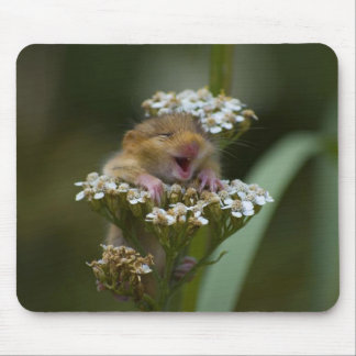 Smiling Mousie on Flower Mouse Pad
