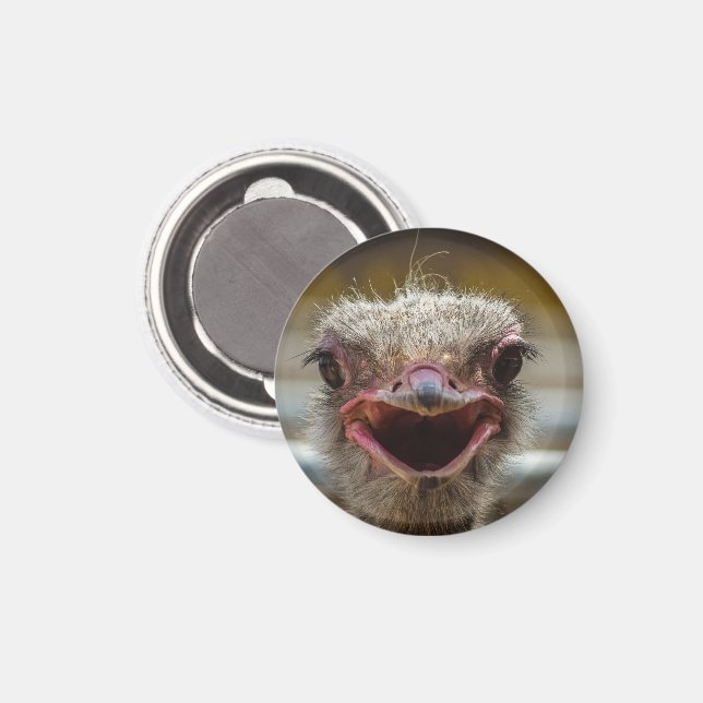 Smiling Ostrich Face Magnet (Front/Back)