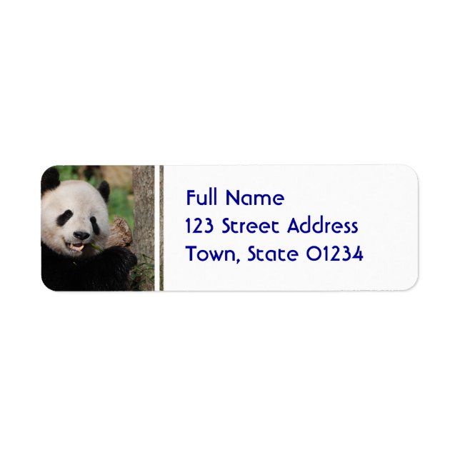 Smiling Panda Bear Return Address Label (Front)