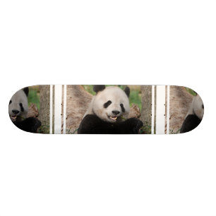 Smiling Panda Bear Skateboard
