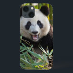 Smiling Panda Portrait iPhone 13 Case<br><div class="desc">Jaynes Gallery / DanitaDelimont.com</div>