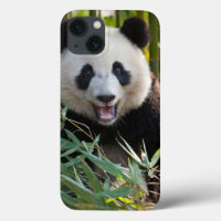 Smiling Panda Portrait