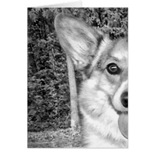 Smiling Pembroke Corgi