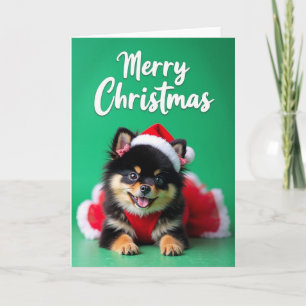 Smiling Pet Holiday Card