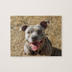Smiling Pitbull Puzzle