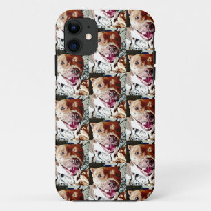 Smiling Pittie Face iPhone 11 Case