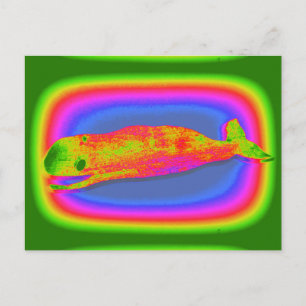 smiling psychedelic whale postcard