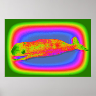 smiling psychedelic whale poster