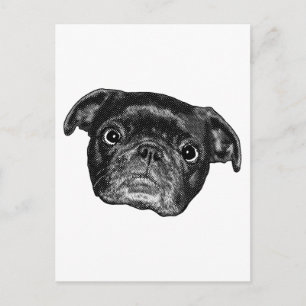 Smiling Pug Dot Post Postcard