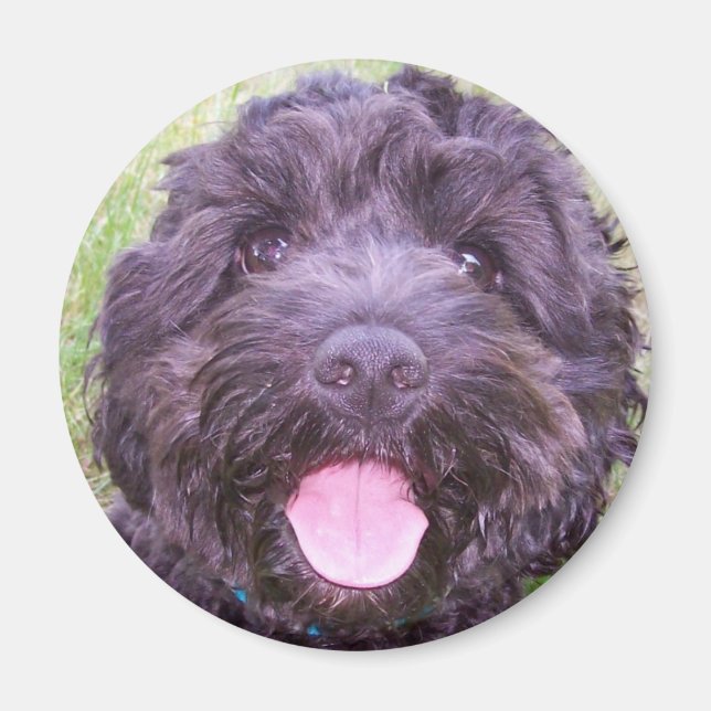 Smiling Puppy Magnet (Front)