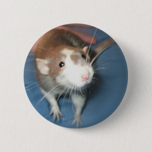 SMILING RAT PIN/ BUTTON