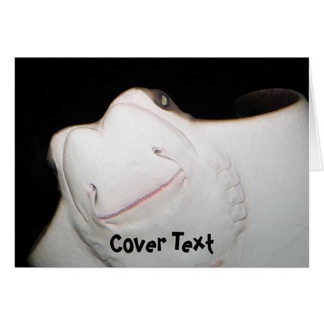 Smiling Ray Card (Front Horizontal)