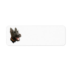Smiling Scottish Terrier Return Address Label