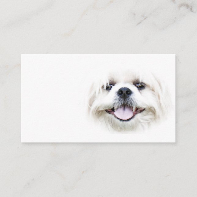 Smiling shih tzu business card (Front)