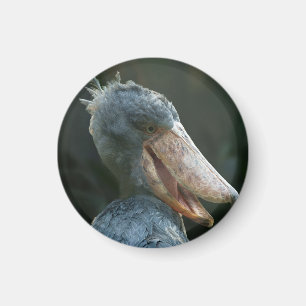Smiling Shoebill Magnet