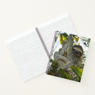 Smiling Sloth 8.5" x 11" Spiral Notebook
