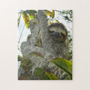 Smiling Sloth Puzzle with Gift Box