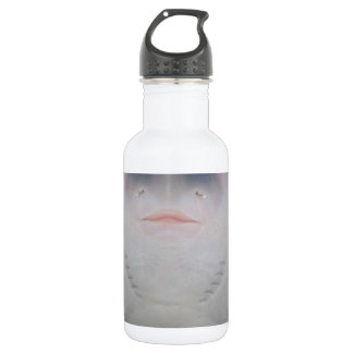 Smiling Sting Ray Swimming in Water 532 Ml Water Bottle