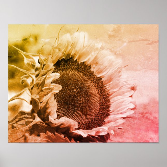 Smiling Sunflower Black And White Distressed  Poster (Front)