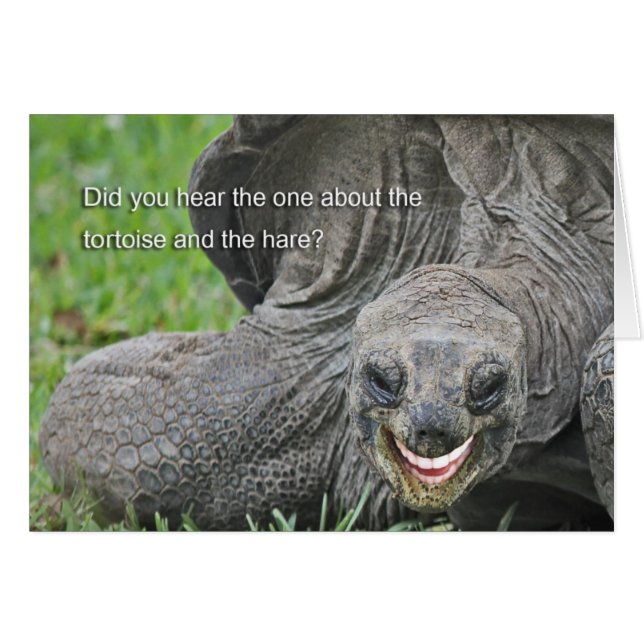 Smiling Tortoise Joke (Front Horizontal)