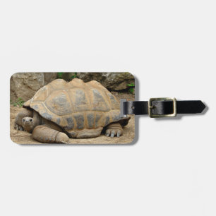 Smiling Tortoise  Luggage Tag