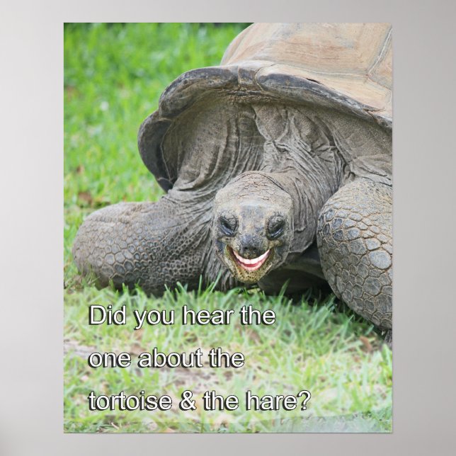 Smiling Tortoise Poster (Front)