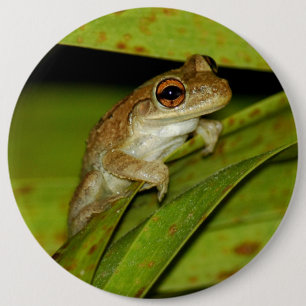 Smiling tree frog Button