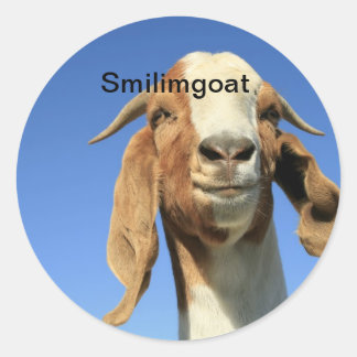 Smilingoat Classic Round Sticker