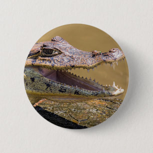 Smilling crocodile in Tortuguero - Costa Rica 6 Cm Round Badge