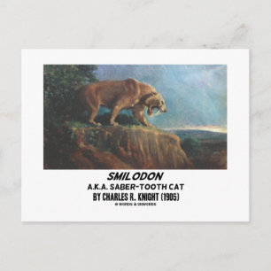Smilodon (A.K.A. Sabre-Tooth Cat) Knight (1905) Postcard