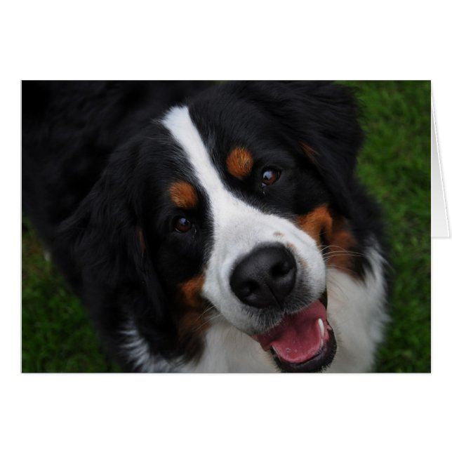 smily face (Front Horizontal)