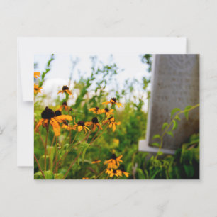 Smith Cemetery Nature Preserve, Ohio Postcard