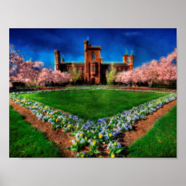 Smithsonian Castle Garden Cherry Blossoms Poster (Front)