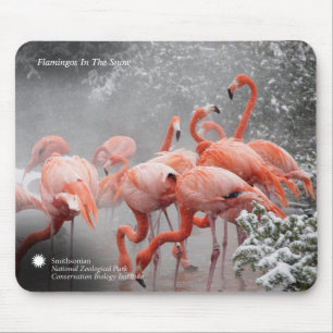 Smithsonian   Flamingos In The Snow Mouse Pad