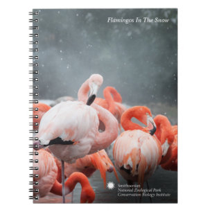 Smithsonian Flamingos In The Snow Notebook