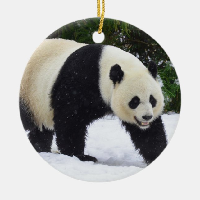 Smithsonian | Giant Pandas In The Snow Ceramic Tree Decoration (Front)