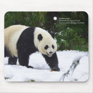 Smithsonian   Giant Pandas In The Snow Mouse Pad