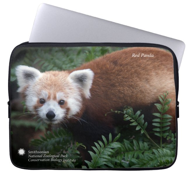 Smithsonian | Red Panda Laptop Sleeve (Front)