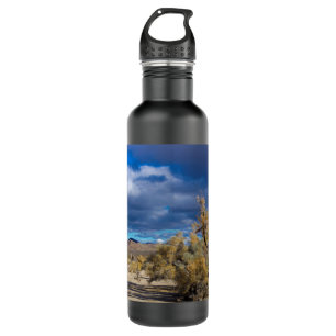 Smoke Bush in Joshua Tree 710 Ml Water Bottle