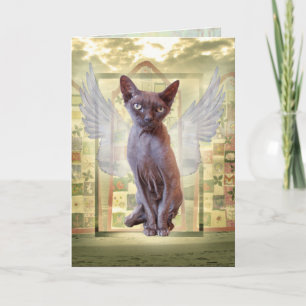 Smoke Devon Rex Sphynx Angel Cat Pet Sympathy Card
