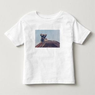 Smoke escaping from active volcano Anak Krakatau Toddler T-Shirt