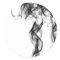 Smoke Photography - Black Sticker