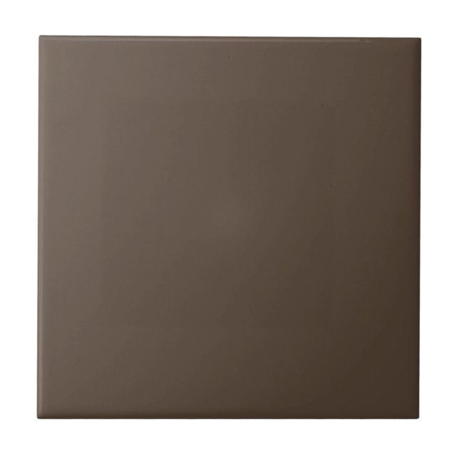 Smoked Hickory Square Kitchen and Bathroom Ceramic Tile (Front)