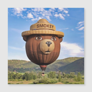 Smokey Bear in Colorado