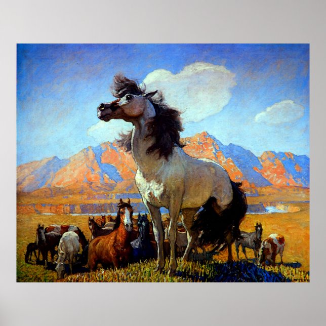 Smokey Face N C Wyeth Circa 1917 Poster (Front)